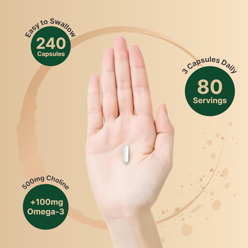 NatureBell مكملات الكولين 500 ملغ مع أحماض أوميغا 3 الدهنية 240 كبسولة قوة عالية من كولين بيتارتريت دعم قبل الولادة أثناء الحمل يعزز الطاقة والكبد والدماغ وصحة الإدراك - Image 4