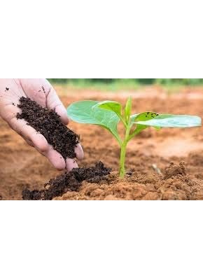 Malowal Malowal Organic Vermicompost Fertilizer Manure for Plants Home Gardening 10 Kg Vermicompost  - Image 3