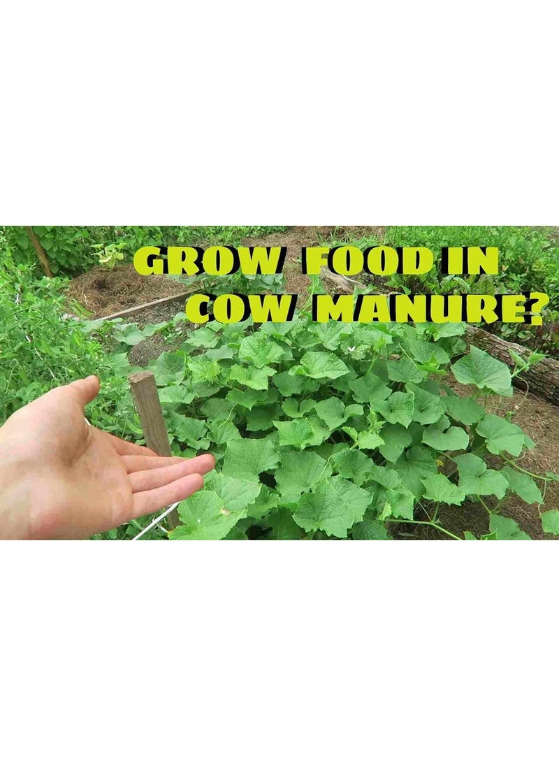 Malowal Malowal Organic Vermicompost Fertilizer Manure for Plants Home Gardening 10 Kg Vermicompost  - Image 2