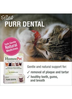 Feline Purr Dental, Dental Care For Cats, 15 Milliliters - pzsku/ZB821E3015145BFA5331AZ/45/_/1726221253/6e37eb66-b78e-48d3-b4dd-09650de609f4