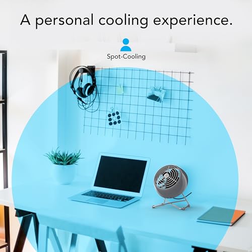 Vornado VFAN™ Mini Modern Vintage Fan, Retro Metal Air Circulator, Fan for Desk & Bedside, 2 Speeds, Adjustable Tilt, Personal Cooling with Targeted Airflow, Quiet Fan, Storm Gray - Image 3