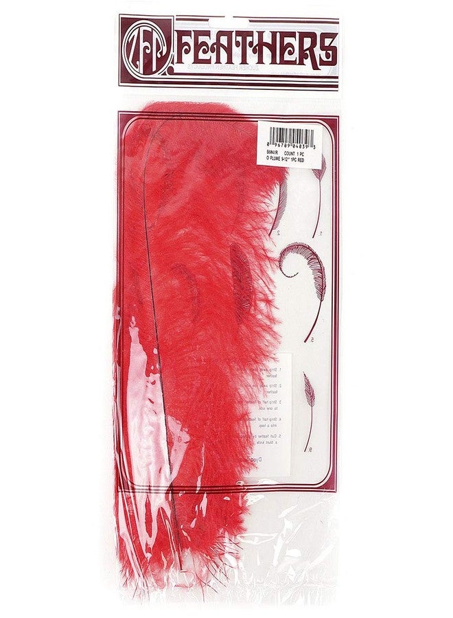 Zucker Ostrich Drab Feathers, 9-12", Red - 12 Piece Feather Set, DIY Craft Supplies, Wedding and Parties, Quality Home Decor - Image 3