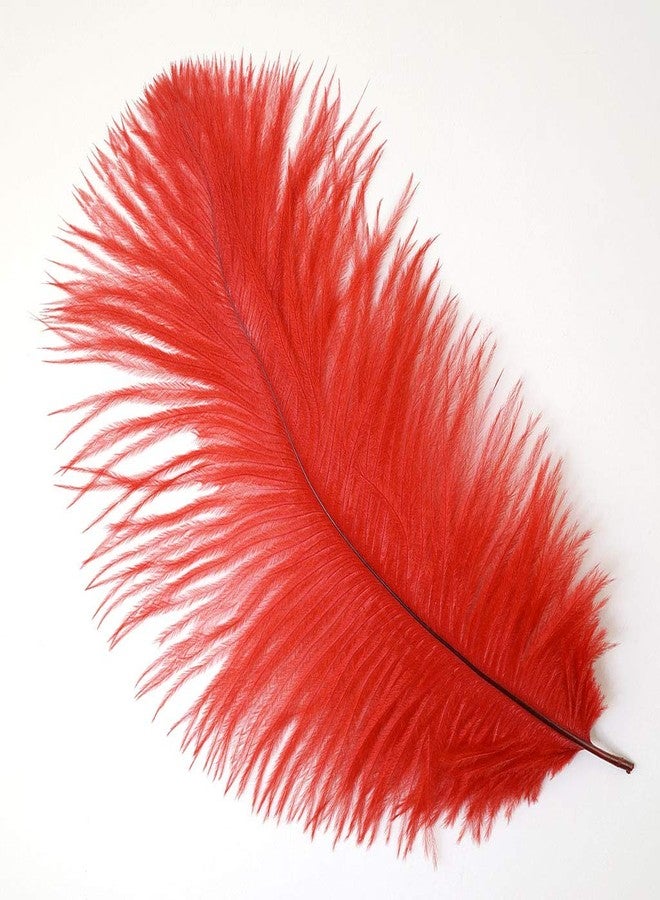 Zucker Ostrich Drab Feathers, 9-12", Red - 12 Piece Feather Set, DIY Craft Supplies, Wedding and Parties, Quality Home Decor - Image 2