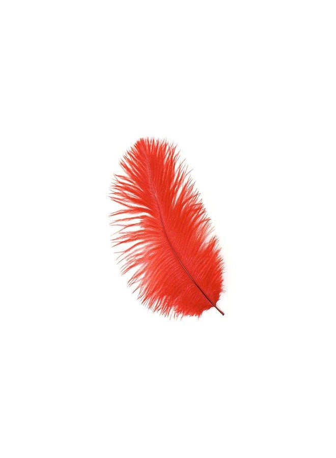 Zucker Ostrich Drab Feathers, 9-12", Red - 12 Piece Feather Set, DIY Craft Supplies, Wedding and Parties, Quality Home Decor - Image 1