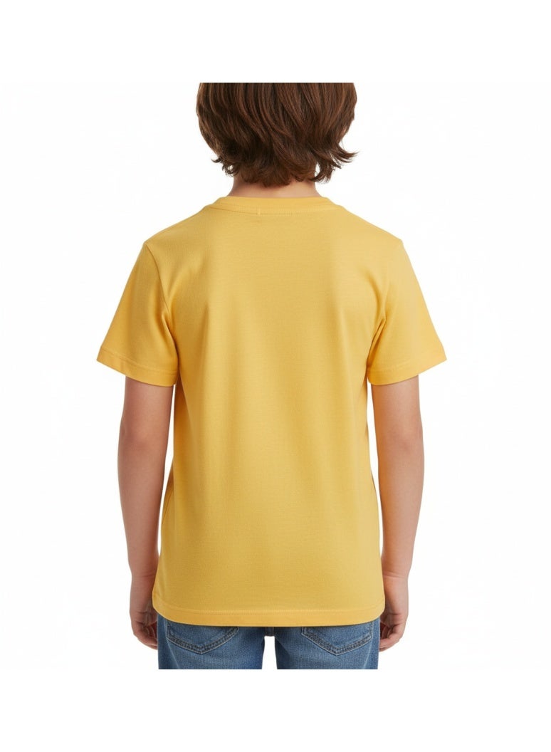 general T-SHIRT BOYS HARRY POTTER SS 2-8 YRS JK - Image 4