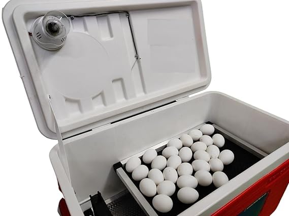 METRO IMPEX METRO IMPEX incubator for egg hatching100 Eggs incubator with humidity display easy to use with low power consumption 