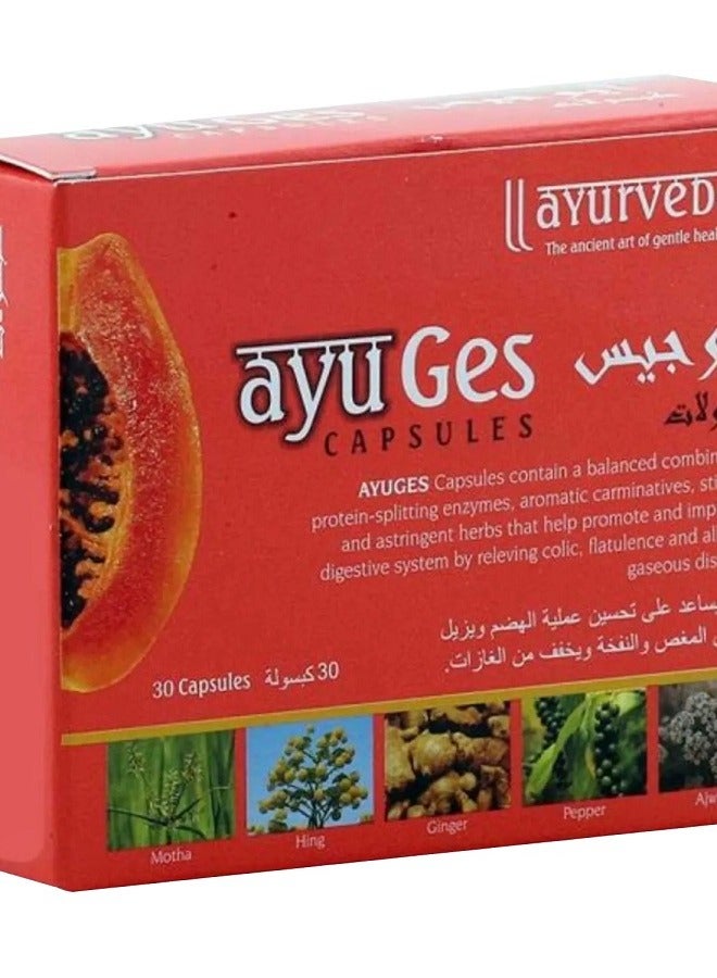 Ayurvedic Digestive Health Capsules Herbal Wellness Support 30 Capsules