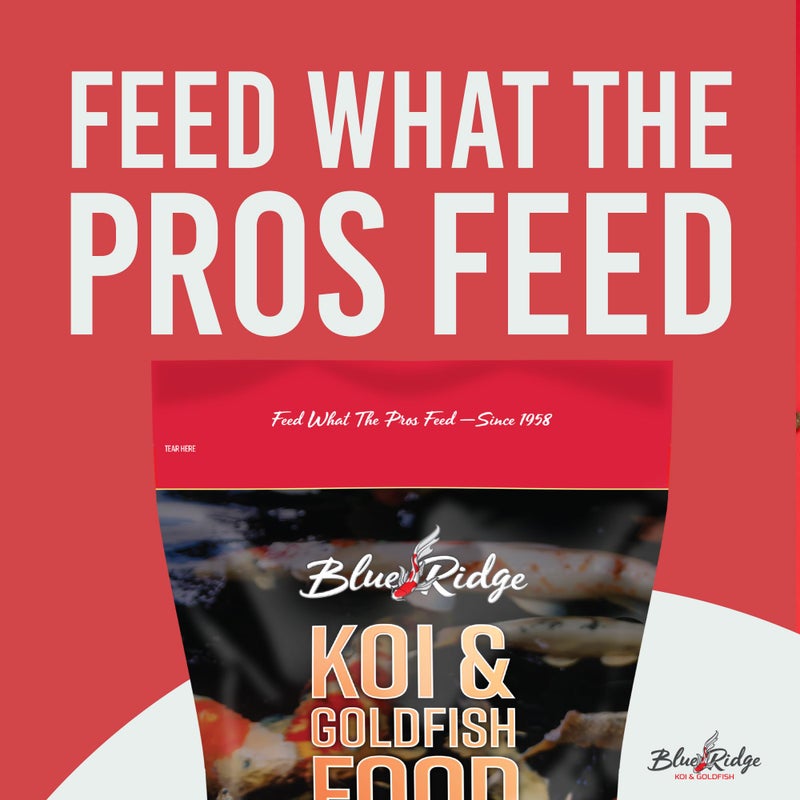 Blue Ridge Koi Fish Food 2lb - Koi Food 3/16” Large and Mini Blend Growth Formula, Goldfish Food, Premium Fish Food for Ponds, Ponds Fish Food, Floating Pond Pellets - Image 3
