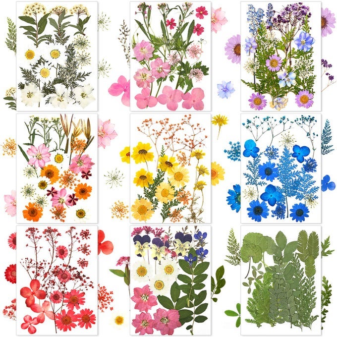 167 PCS REAL DRIED PRESSED FLOWERS NATURAL DRIED FLOWERS COLORFUL DAISY MIXED WILDFLOWERS LEAVE FOR DIY CANDLE RESIN NAILS JEWELRY PENDANT CRAFTS FLORAL ARTFRESH COLOR