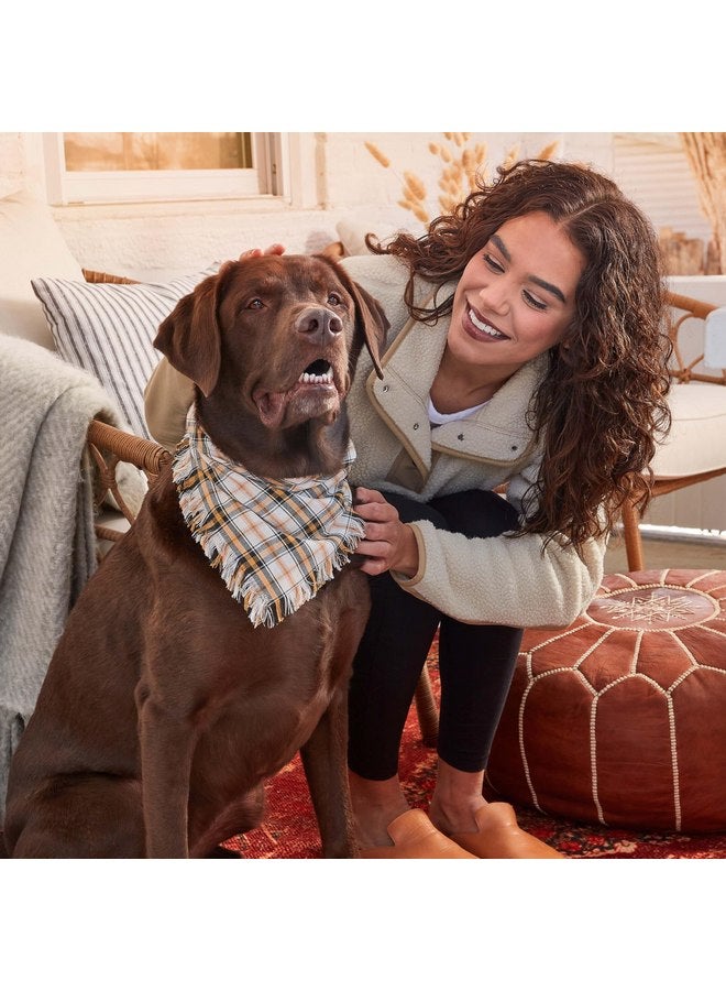 ميلك-بون بسكويت للكلاب بنكهة التفاح والقرفة من Milk-Bone إصدار محدود، 8 أونصة - Image 2