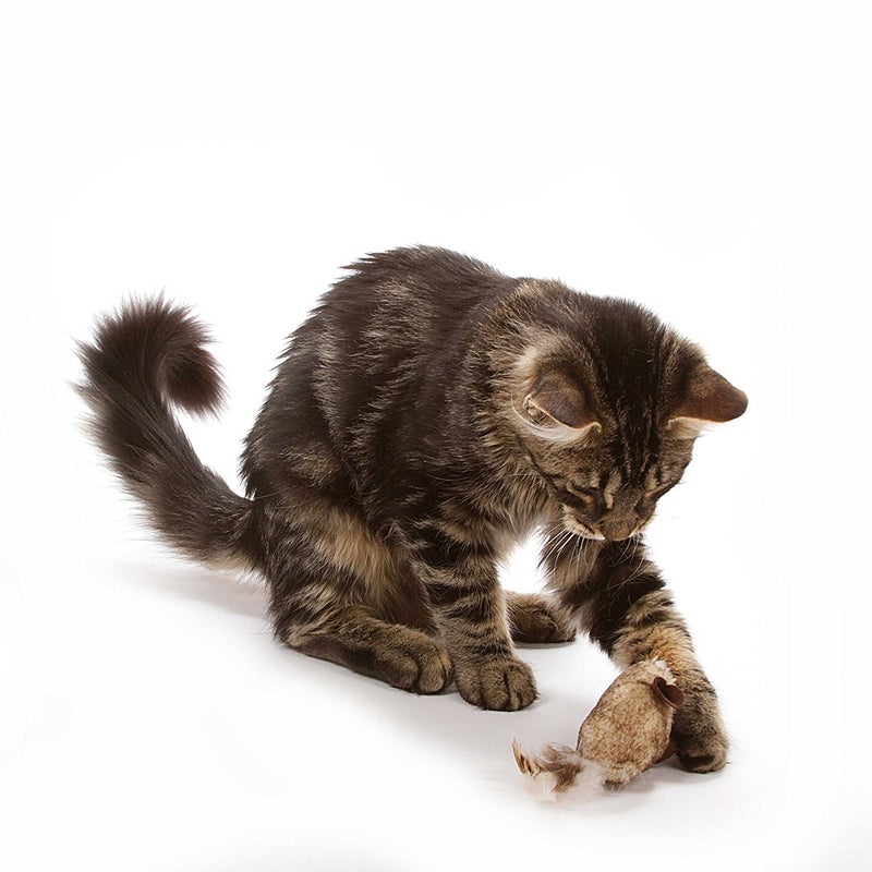 Our Pets OurPet's Play-N-Squeak Twice the Mice Cat Toy, 2pc (Interactive Catnip Toy, Real Mouse Electronic Sound) - Image 2