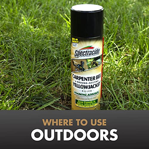 Spectracide Carpenter Bee and Ground Nesting Yellow Jacket Foaming Aerosol, 16-Ounce - Image 3