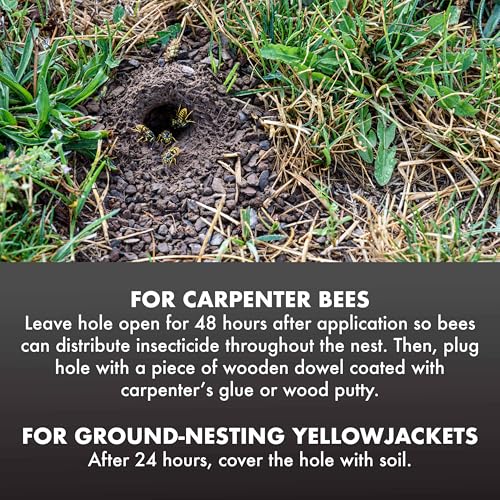 Spectracide Carpenter Bee and Ground Nesting Yellow Jacket Foaming Aerosol, 16-Ounce - Image 5