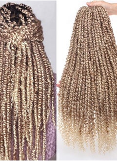 8 Packs Pre-Twisted Passion Twists Synthetic Crochet Hair Extensions 12 Roots/pack 22 Inch Ombre Crochet Passion Twist Braiding Hair Curly Ends Twist Hair Ombre Color