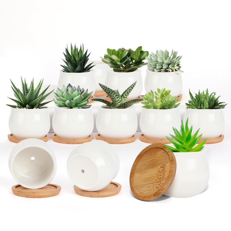 SHECIPIN Succulent Pots, White Mini 2.5 inch Ceramic Flower Planter Pot with Bamboo Tray, Pack of 12 - Plants Not Included - Image 1