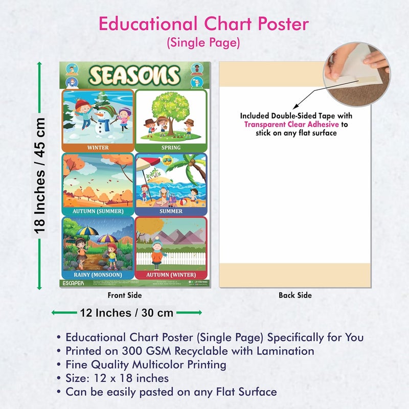 ESCAPER Educational Charts for Kids, Kids Learning Charts, A3 Sized, Laminated, Multicolored, Educational Chart, Wall Art, Classroom, Unframed Poster - Image 3