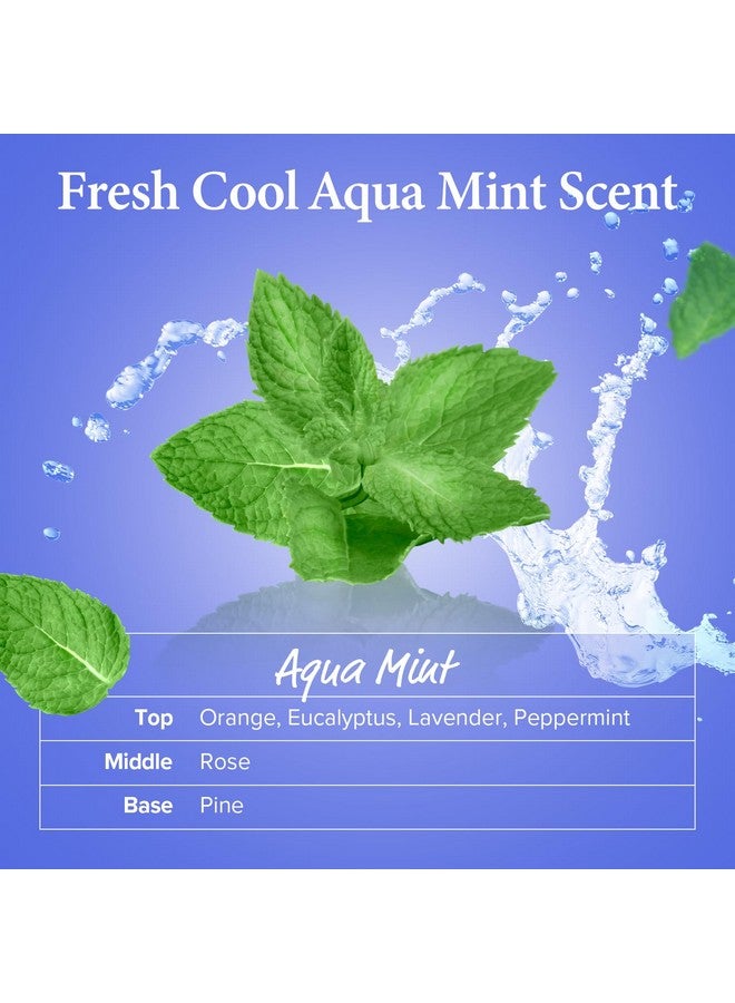 كاندال شامبو للعناية بفروة الرأس والشعر - شامبو أكوا مينت المنعش المنعش مع الأوكالبتوس، مستخلصات شجرة الشاي، زيت الأرجان 10.14 أونصة سائلة، عبوة من قطعتين - Image 1