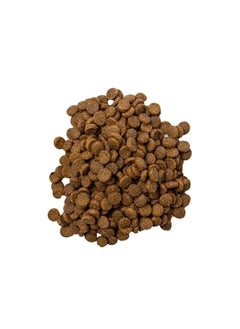 Doodzy Cat Classico 1KG - pzsku/ZB832032EA92F7D95972AZ/45/_/1735428648/fba79212-963a-4673-9882-e174d269b71a