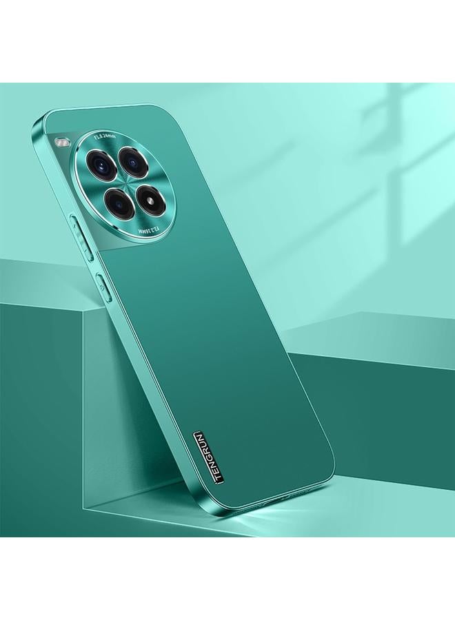 erorex For OnePlus Ace 3 Pro Streamer Series Micro Frosted Metal Paint PC Phone Case(Alpine Green) 