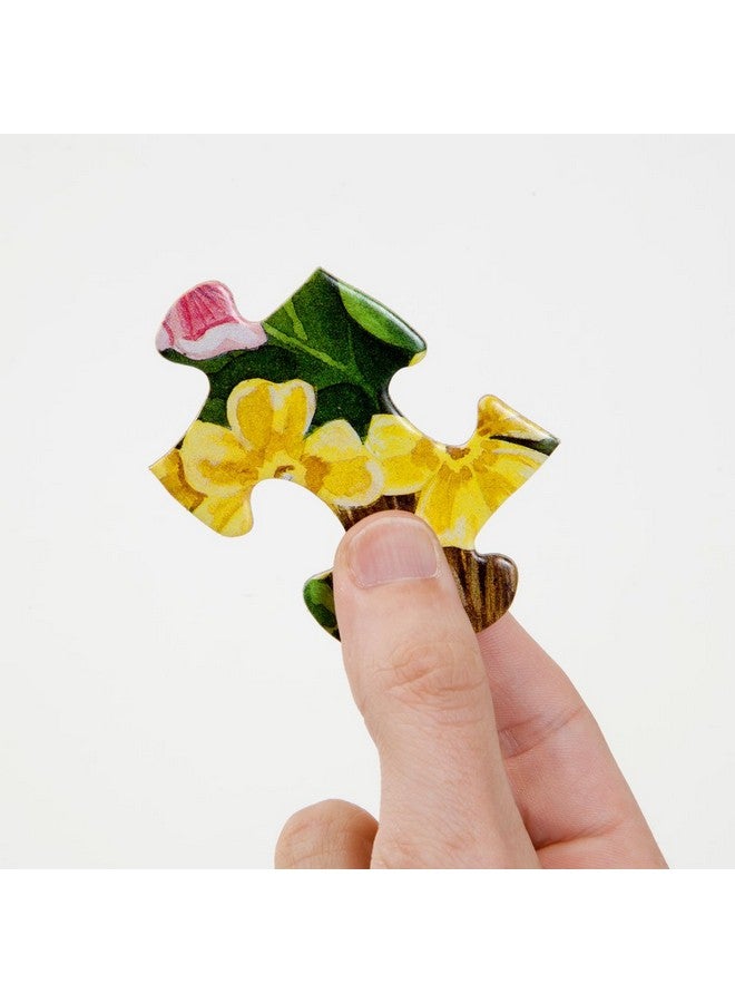 Bits and Pieces - 100 Piece Jigsaw Puzzle For Seniors - 15" X 19" - Birds On The Porch Steps - 100 Pc Large Lettered Pieces Colorful Scenic Jigsaw - Image 5