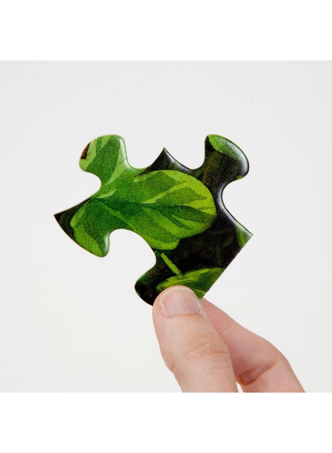 Bits and Pieces - 100 Piece Jigsaw Puzzle For Seniors - 15" X 19" - Birds On The Porch Steps - 100 Pc Large Lettered Pieces Colorful Scenic Jigsaw - Image 4