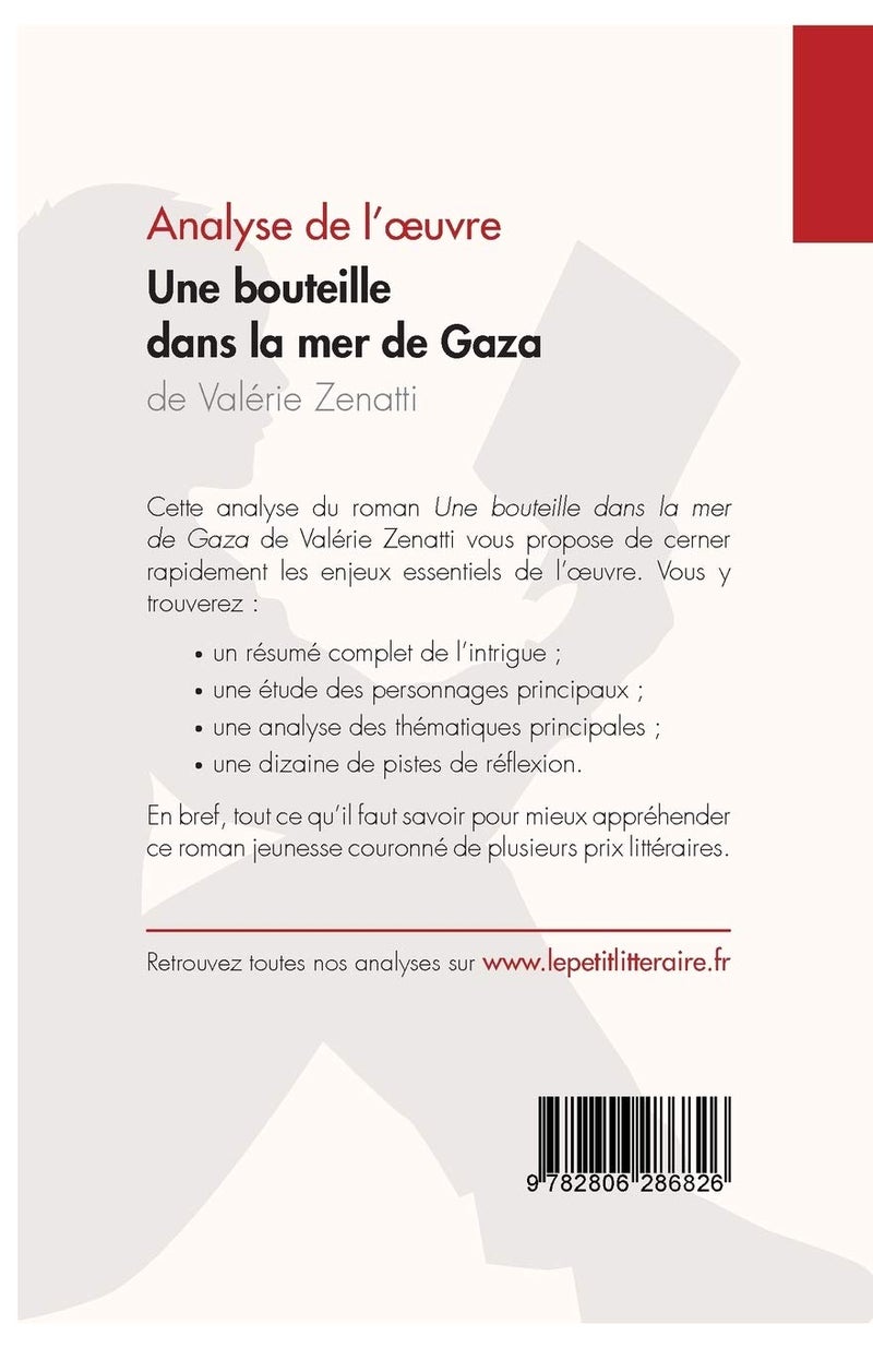 Une bouteille dans la mer de Gaza de Valérie Zenatti (Fiche de lecture): Analyse complète et résumé détaillé de l'oeuvre - Image 2