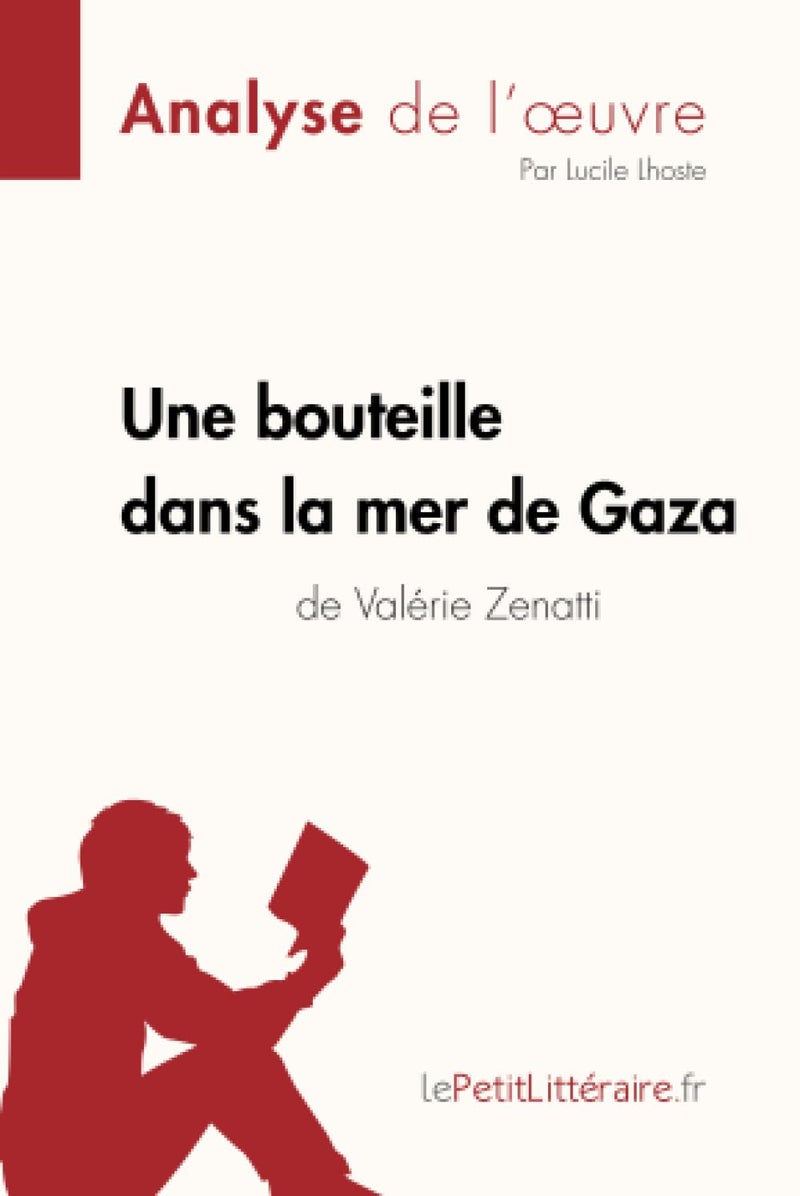 Une bouteille dans la mer de Gaza de Valérie Zenatti (Fiche de lecture): Analyse complète et résumé détaillé de l'oeuvre - Image 1