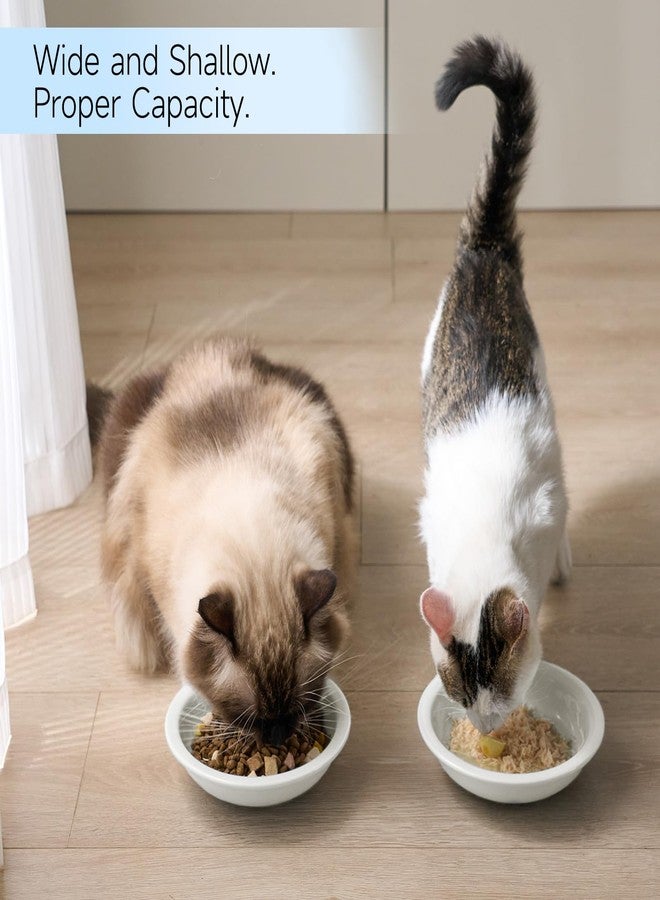 CEEFU Thicker Ceramic Cat Food and Water Bowls 3 PCS, Whisker Stress Free Cat Dishes, Relieves Fatigue, Shallow Pet Food Dish for Cats Puppy, White - Image 4