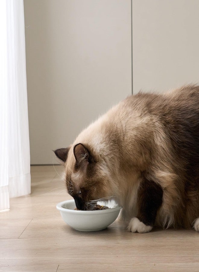 CEEFU Thicker Ceramic Cat Food and Water Bowls 3 PCS, Whisker Stress Free Cat Dishes, Relieves Fatigue, Shallow Pet Food Dish for Cats Puppy, White - Image 3
