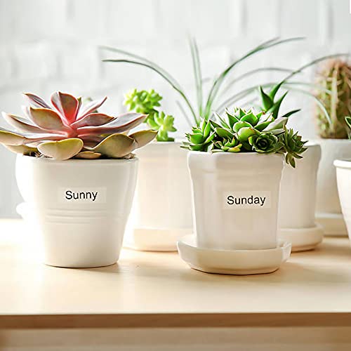 Absonic 2-Pack Compatible Label Tape Replacement for LK-4TBN ST12KW LC-4TBN9 LabelWorks 12mm Black on Clear LK Tape for LW-300 LW-400 LW-500 LW-600P LW-700 LW-K200PX Label Maker, 1/2'' x 26.2' - Image 4