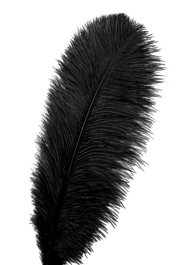 Ballinger Black Large Ostrich Feathers - 24Pcs 12-14inch Large Feathers for Vase,Gatsby and Halloween Party Centerpieces - Image 2