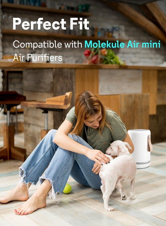 فلاتر بديلة من نوع Leemone Air Mini PECO-HEPA متوافقة مع أجهزة تنقية الهواء Molekule Air Mini و Air Mini +، فلتر بديل عالي الكفاءة 3 في 1، عبوة من قطعتين - Image 2