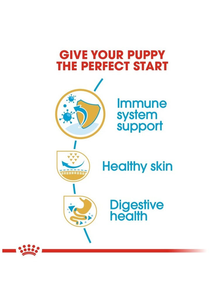 رويال كانين صحة وتغذية السلالة جرو البج 1.5 كجم - Image 3