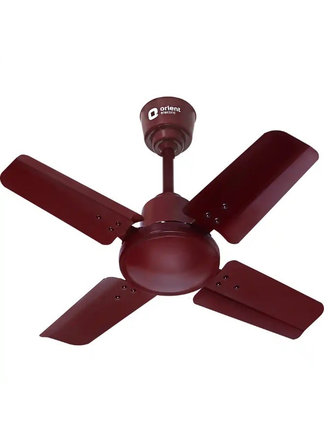 Orient Electric New Air Plus Ceiling Fan, 600mm, 24 Inch Fan, 4 Blade, 100% Copper Motor, Brown