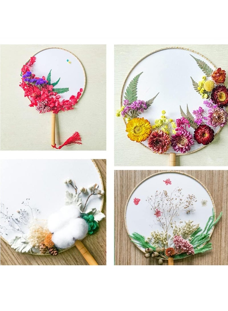 Excefore 2 Colors Natural Pressed Flowers Multiple Colorful Real Dried Flowers Decorative for Art Crafts DIY Dry Flat Flowers Leaves for Resin Molds - Image 5