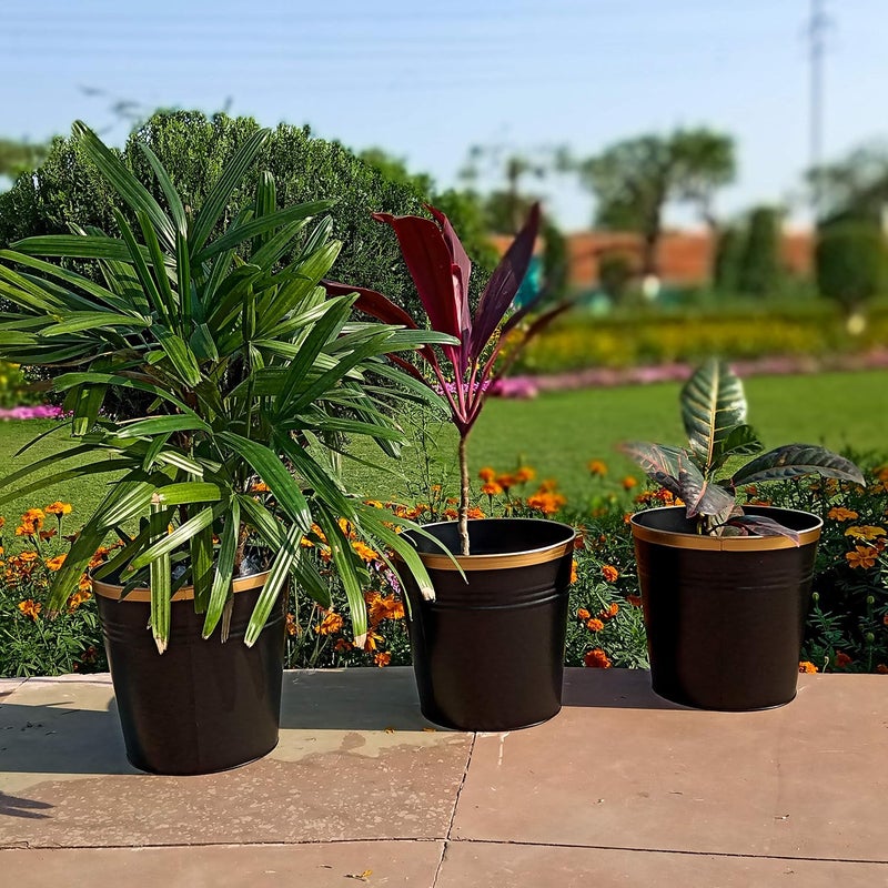 ecofynd إيكوفايند® (®) زهرية معدنية دائرية بقطر 10 بوصات | وعاء زراعي للاستخدام داخليًا أو خارجيًا على الشرفات أو التراسات | غطاء لحاويات النباتات في الحدائق المنزلية أو المكاتب | زينة لغرفة المعيشة، لون أسود، مجموعة من 3 قطع - Image 5