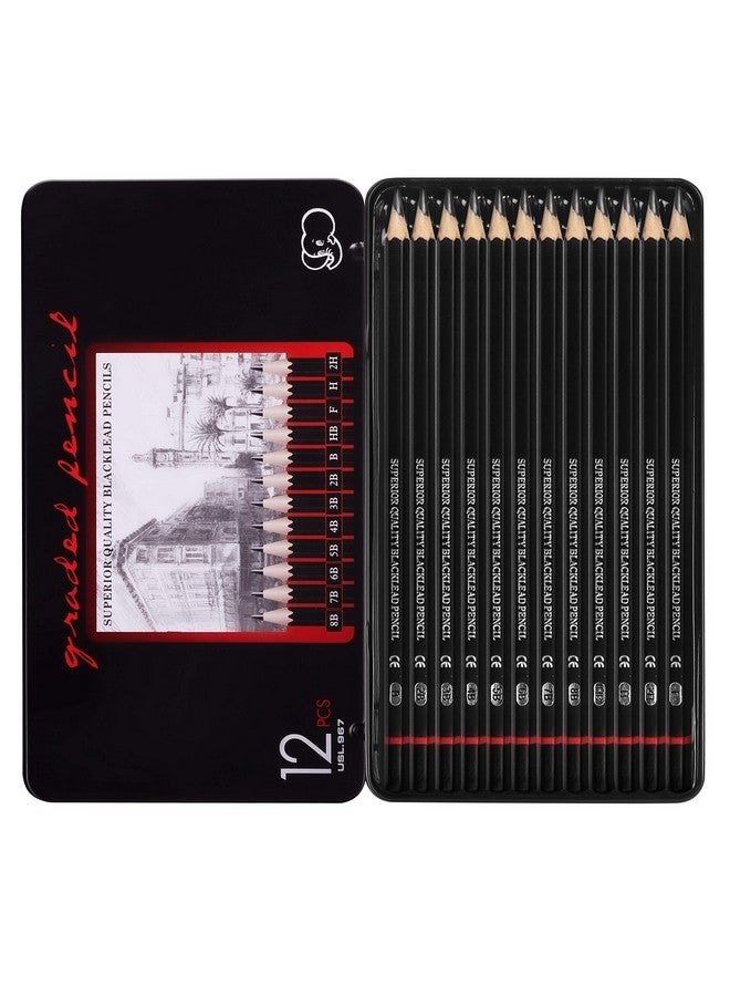 ABOUT SPACE Artist Pencil for Sketching Drawing Art Pack of 12 with Metal Case B 2B 3B 4B 5B 6B 7B 8B HB H 2H F - Image 1