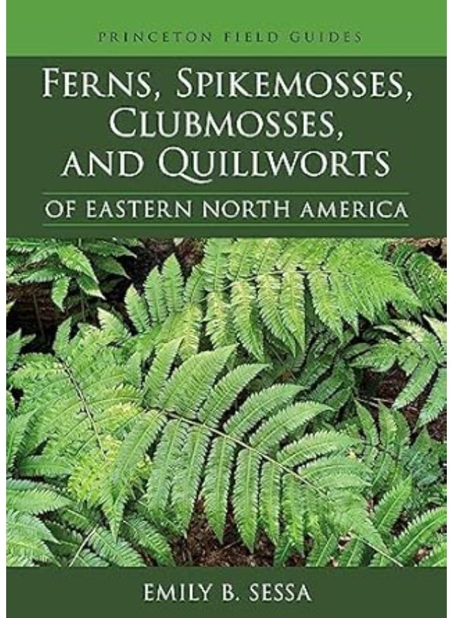 Ferns, Spikemosses clubmosses & Quillworts