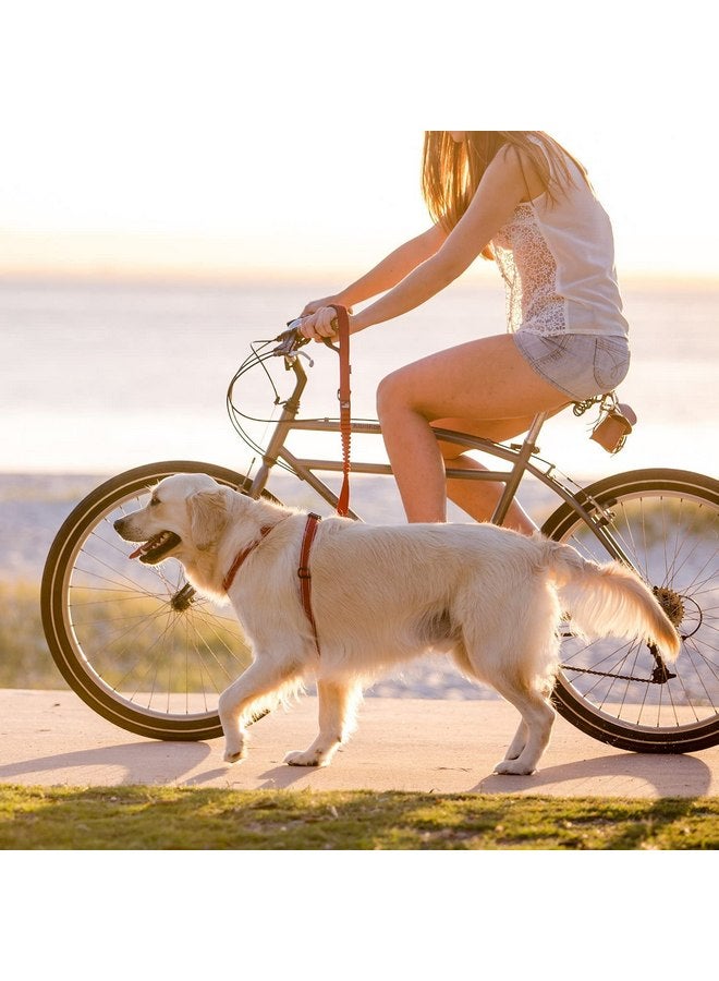 إيزي دوج مقود EzyDog ZERO SHOCK - أفضل مقود للكلاب يمتص الصدمات، ومقود للتحكم والتدريب (48 بوصة، أسود) - Image 3