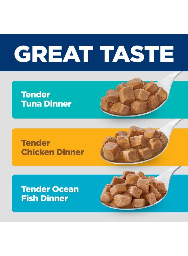 هيلز ساينس دايت، طعام قطط رطب فاخر للبالغين من عمر 1 إلى 6 سنوات، علبة متنوعة: تونة؛ دجاج؛ حساء سمك المحيط، علب متنوعة 5.5 أونصة، علبة من 12 قطعة - Image 2