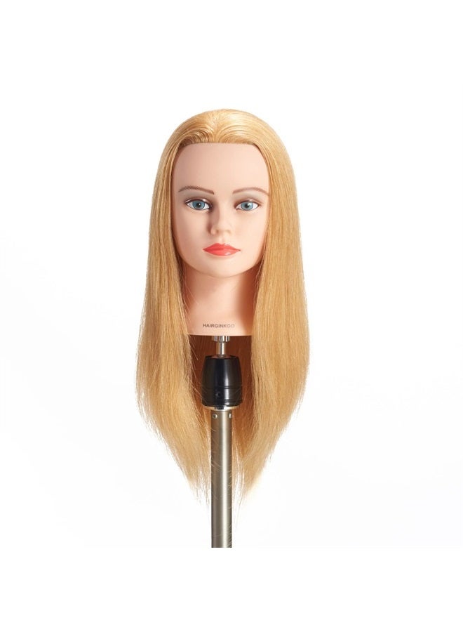 Hairginkgo Mannequin Head 20"-22" 100% Human Hair Manikin Head Hairdresser Training Head Cosmetology Doll Head for Styling Dye Cutting Braiding Practice with Clamp Stand (91812W2714) - Image 2