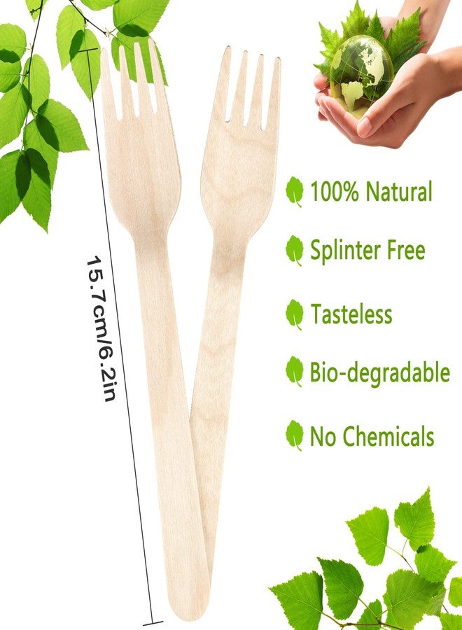 TANGTEA 6.2" Wooden Forks Disposable - 100 Pack Compostable Bamboo Forks - Biodegradable & Eco-Friendly Utensils for Parties, Catering, BBQs & Events - Image 2