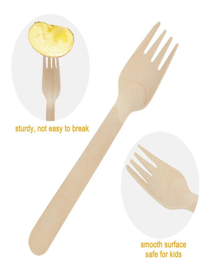 TANGTEA 6.2" Wooden Forks Disposable - 100 Pack Compostable Bamboo Forks - Biodegradable & Eco-Friendly Utensils for Parties, Catering, BBQs & Events - Image 4