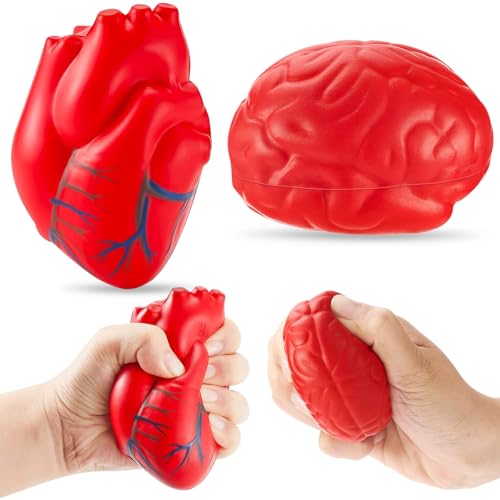 Hungdao Anatomy Stress Set 2 Pieces Heart with Brain PU Foam Stress Ball Fake Healthcare Anatomy Ball for ReliefRed - Image 1
