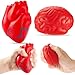 Hungdao Anatomy Stress Set 2 Pieces Heart with Brain PU Foam Stress Ball Fake Healthcare Anatomy Ball for ReliefRed - Image 2