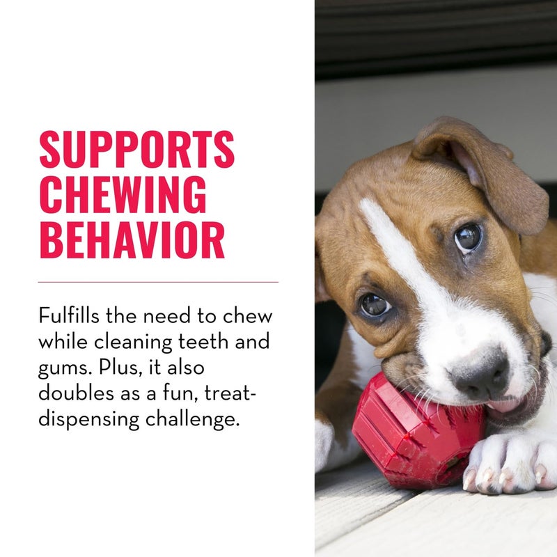 KONG Stuff-A-Ball - Durable Chew Toy for Dogs - Natural Rubber Dog Toy for Dental Health - Pet Toy for Chewing & Teeth Cleaning - Stuffable Toy for Dog Treats & Snacks - for Medium Dogs - Image 3