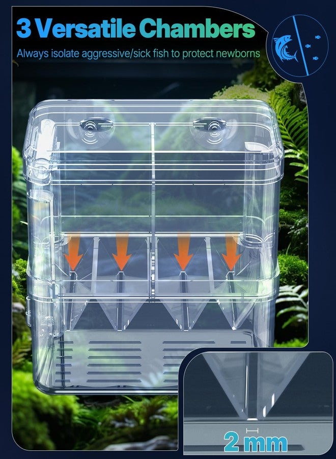 باوفلي صندوق تربية أسماك الزينة Pawfly - حاضنة بلاستيكية شفافة لصغار الأسماك والروبيان وسمك البيتا وسمك المهرج - Image 3