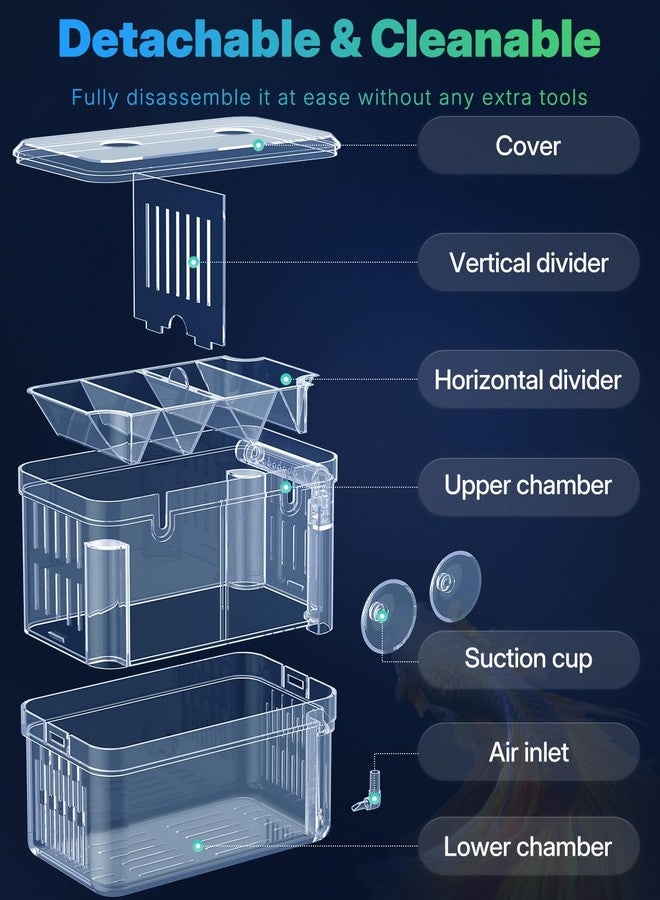 باوفلي صندوق تربية أسماك الزينة Pawfly - حاضنة بلاستيكية شفافة لصغار الأسماك والروبيان وسمك البيتا وسمك المهرج - Image 4