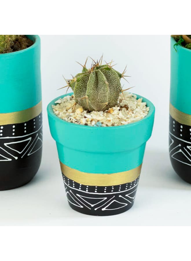 Cactus pottery pot
