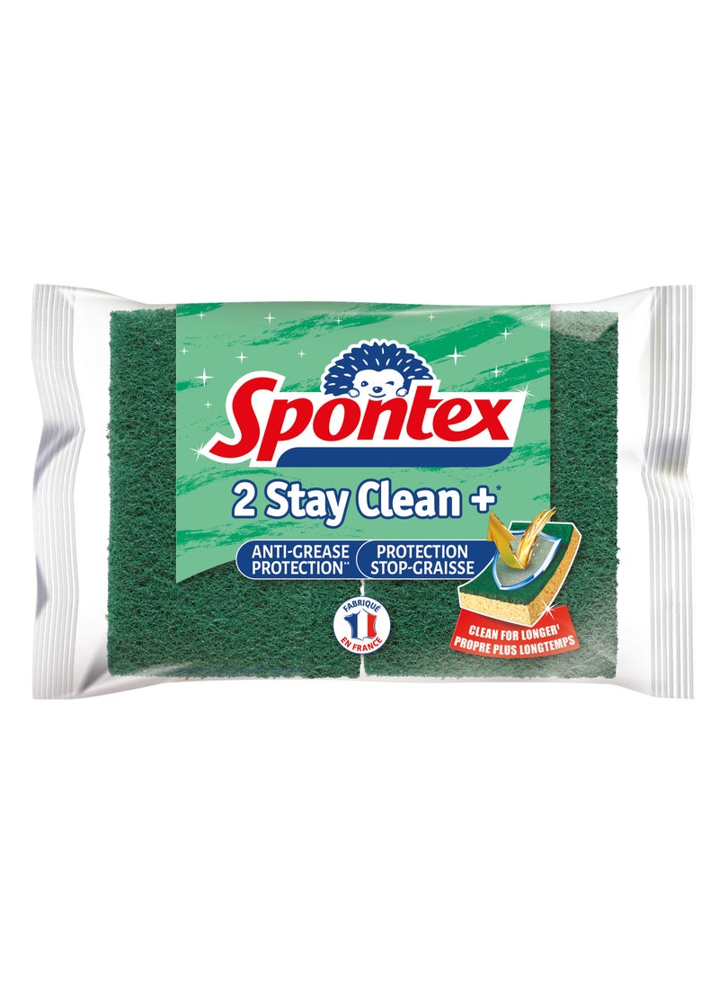 Spontex Sponges Stay Clean Plus 2Pcs - Image 1